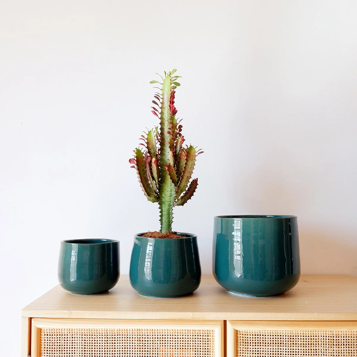 Helia Planter - Jade
