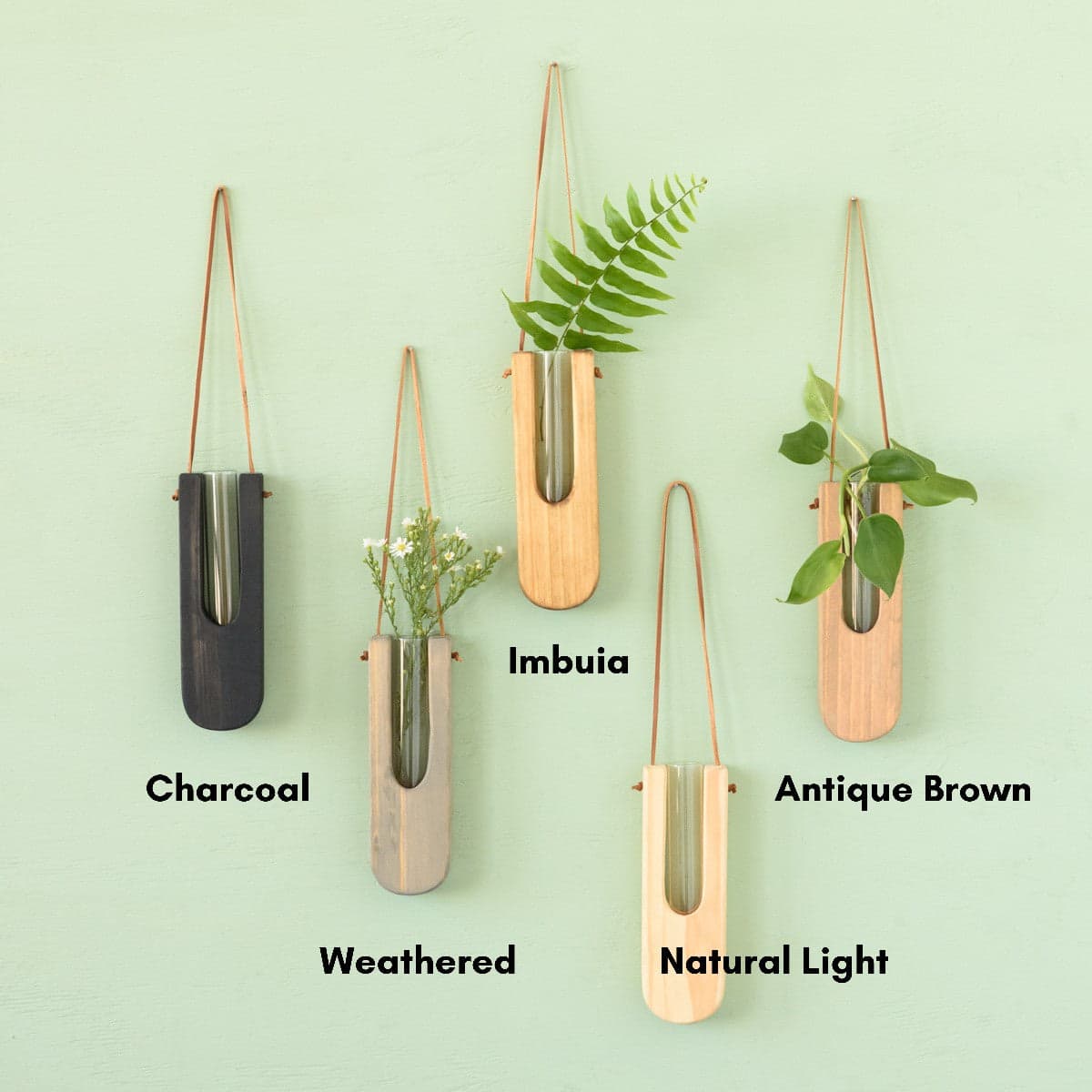 Decorative Wall Propagation Vase