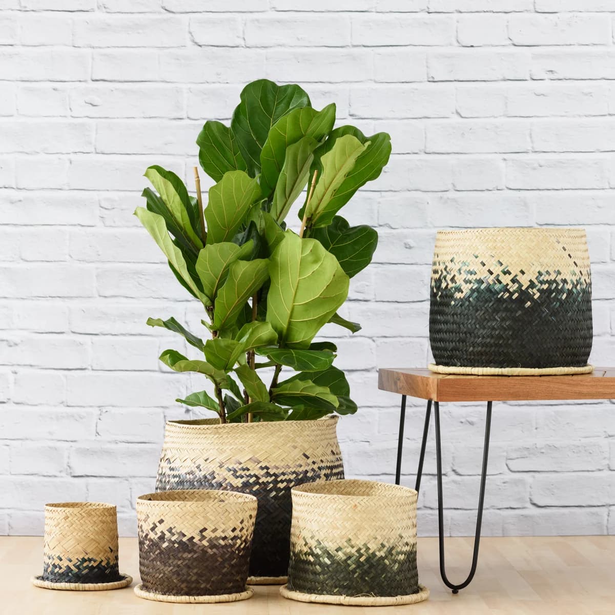Mimi Basket