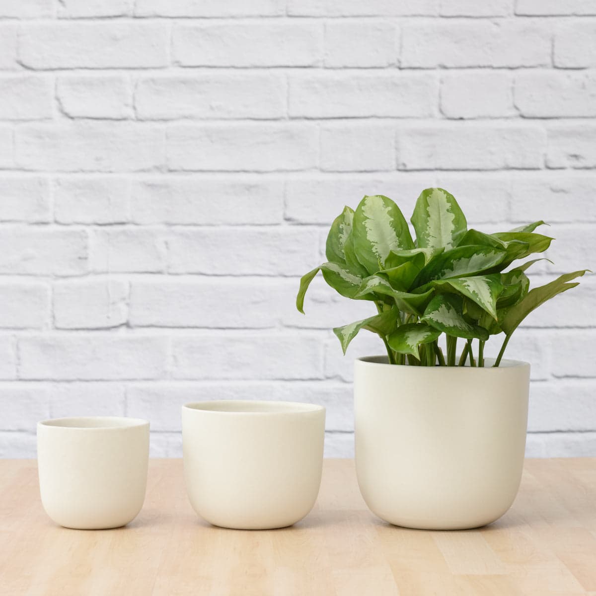 Moon Planter - White