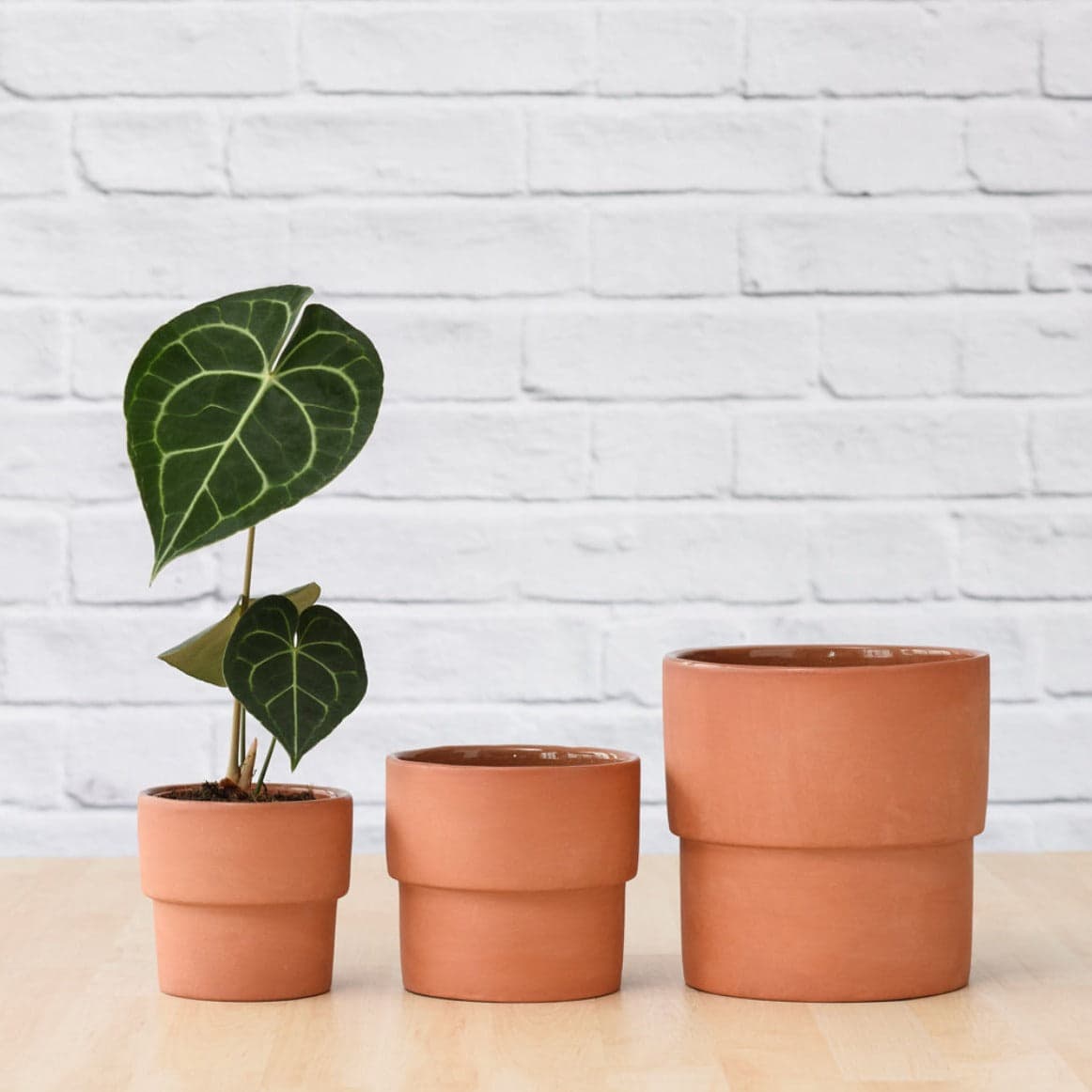Flo Planter - Terracotta